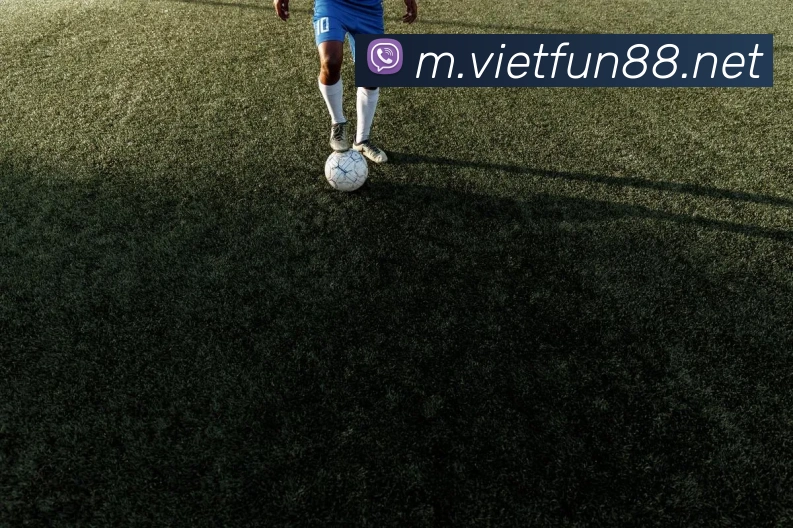 fun88乐天堂全站App fun88乐天堂全站App